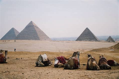 Your Guide to Visiting Egypt's Pyramids of Giza - Days to Come