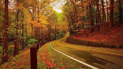 1920x1080 Resolution autumn, forest, road 1080P Laptop Full HD ...