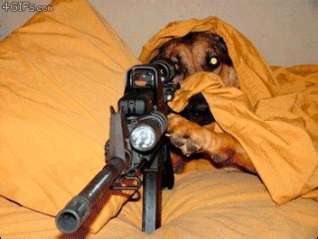 Sniper GIFs - Find & Share on GIPHY