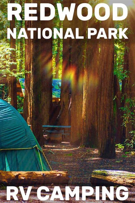 Redwood National Park RV Camping