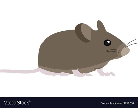 Pet mouse Royalty Free Vector Image - VectorStock