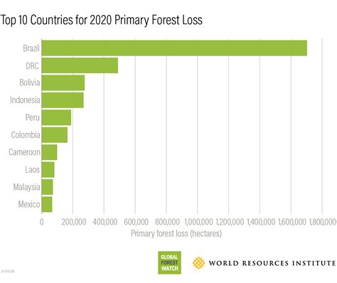 Primary Forest Loss in Congo Basin Escalates in 2020