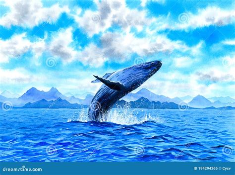 Breaching Humpback Whale Logo Stock Illustration | CartoonDealer.com ...