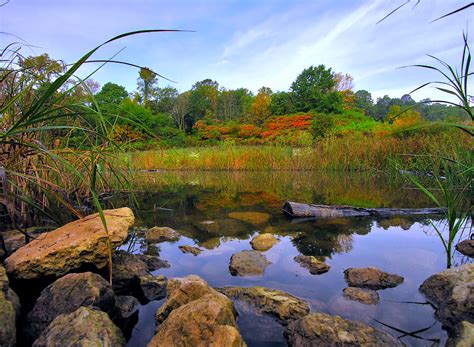 Owen Conservation Park Madison, WI | Uncharted101.com