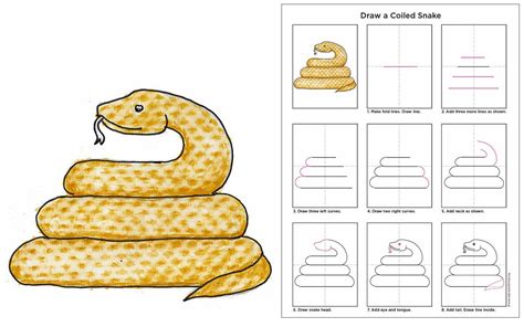 Coiled Snake Drawing at PaintingValley.com | Explore collection of ...