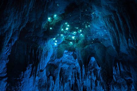 This 30-million-year-old cave in New Zealand has a beautiful phenomenon ...