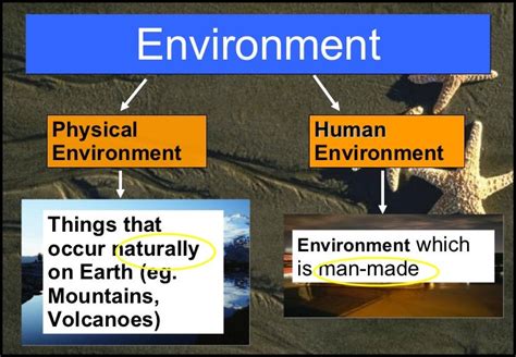 02 Chap 3 The Physical And Human Environment (Jan 08)