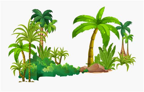 Tropical Rainforest Tree Clipart , Free Transparent Clipart - ClipartKey