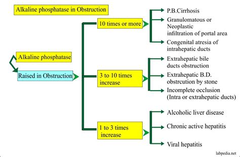 Alkaline phosphatase level (ALP) – Labpedia.net