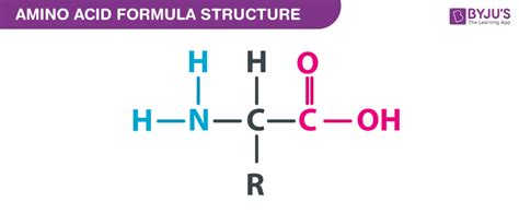 Chemical Makeup Of Amino Acids | Makeupview.co