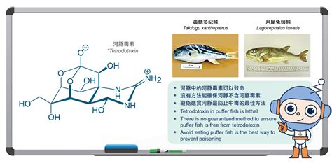 Tetrodotoxin – the Deadly Poison in Puffer Fish