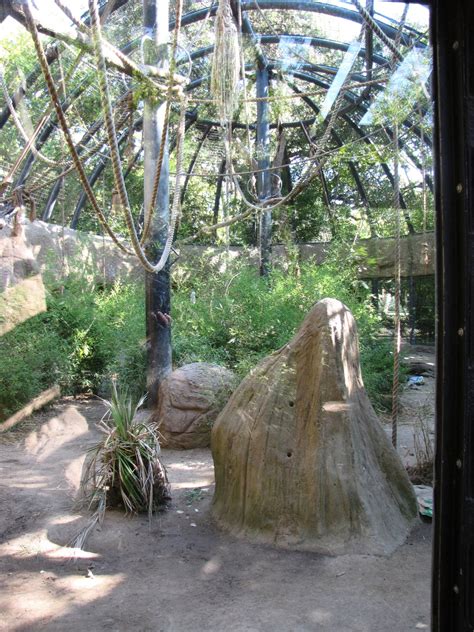 Full Length of Chimpanzee Habitat - ZooChat