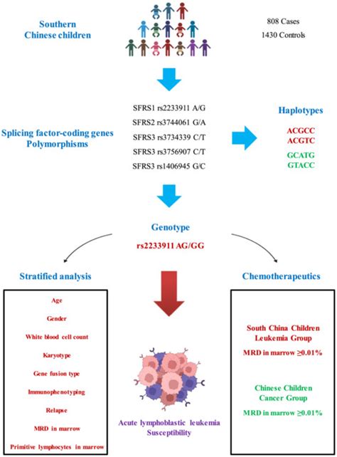 The Journal of Gene Medicine - Wiley Online Library