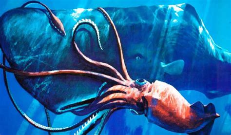 Top 10 Colossal Squid Characteristics that Have Helped It Survive ...