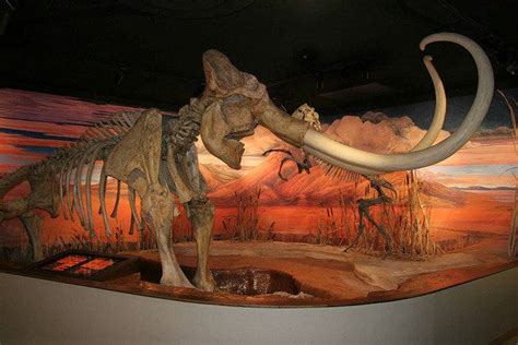 Nevada State Museum is one of the very best things to do in Reno