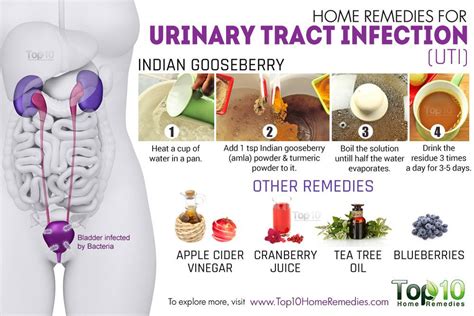 Home Remedies for Urinary Tract Infection (UTI) | Top 10 Home Remedies