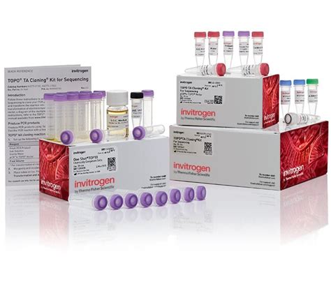 TOPO™ TA Cloning™ Kit for Sequencing, with One Shot™ TOP10 Chemically ...