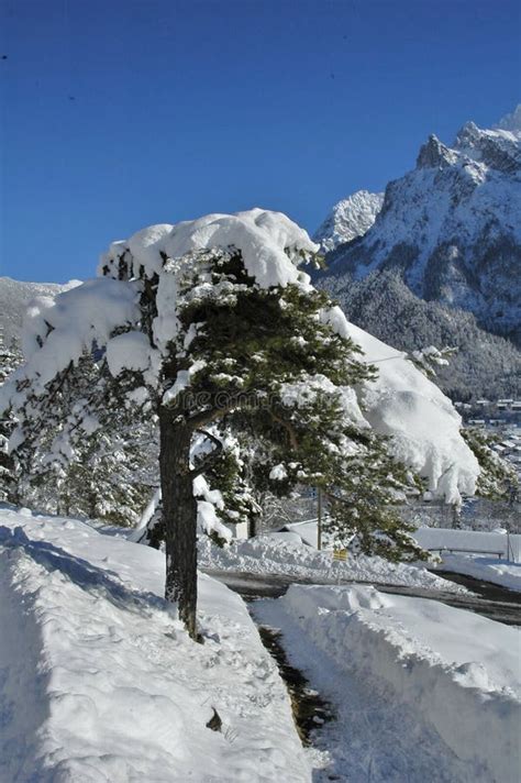 View of Scenic Winter Landscape in the Bavarian Alps Stock Photo ...