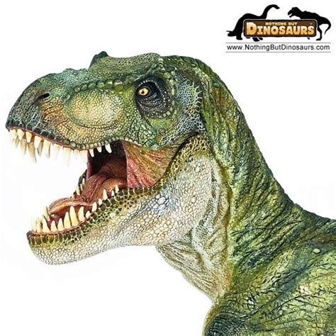 Papo Realistic Green Standing Tyrannosaurus Rex Dinosaur Toy Model ...