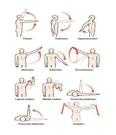 130 Humeral Fracture Rehab ideas | physical therapy, shoulder rehab ...