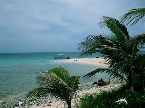 Beach at La Ceiba | Beach, Ceiba, Photo