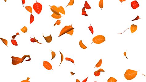 Leaves Falling PNGs for Free Download