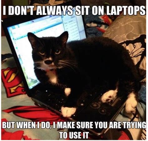 a black and white cat laying on top of an open laptop computer with ...