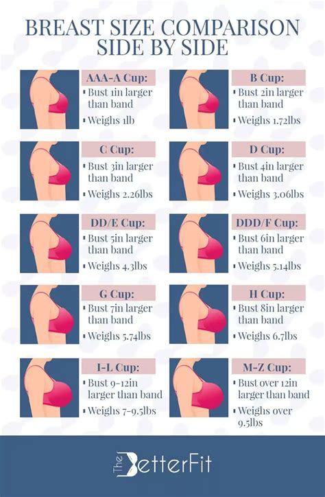 Breast Size Comparison Side by Side | Breast sizes chart, Bra size ...