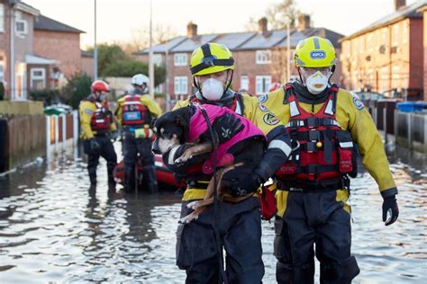 RSPCA Flood Response Team on Standby as Water Rises in Southern England ...