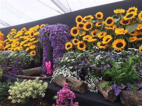 Southport Flower Show 2018 | Flower show, Southport flower show, Flowers