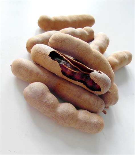 Tamarind Fruits Free Stock Photo - Public Domain Pictures