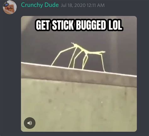 Get Stick Bugged Lol Meme