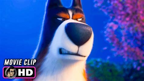 THE SECRET LIFE OF PETS 2 Clip - Rooster (2019) Harrison Ford - YouTube