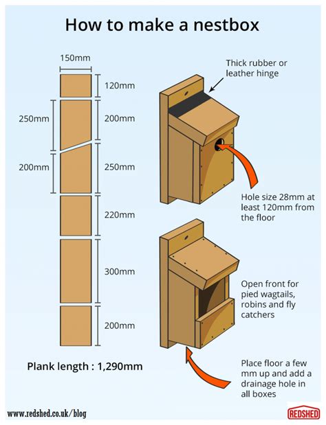 How to build a bird nestbox (With images) | Bird house feeder