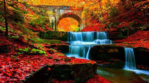 Download Autumn Waterfall In The Forest Wallpaper - Autumn Waterfall On ...