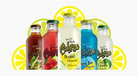 Best Juice Brands 2021: Top Brands Review & Guide - DaDong