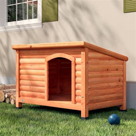 GIODIR Outdoor Large Dog Kennel With Canopy & Reviews | Wayfair