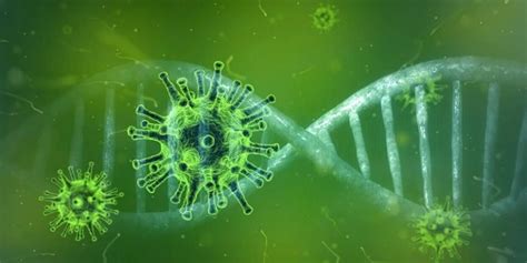 Whole genomes of coronavirus from UK patients sequenced - Neuroscience News