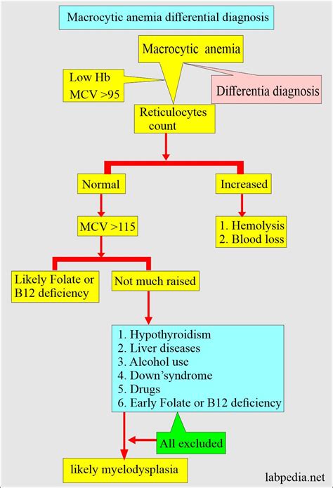 Non Megaloblastic Anemia