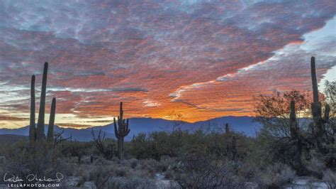 Sabino Canyon Sunrise - Jan 3 2018