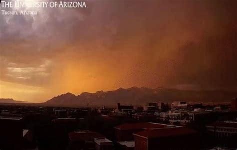 Arizona monsoon 2023 in photos: Dust storms, lightning, flash floods