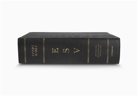 ESV Study Bible, Large Print, Genuine Leather, 9781433544316 | Eden.co.uk