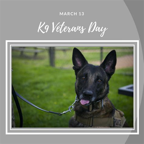 National K9 Veterans Day is celebrated on March 13th on the official ...