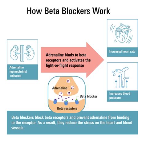 What are Beta-Blockers?