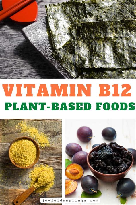 Top Vitamin B12-Rich Fruits and Vegetables: Good Sources of Vitamin B12 ...