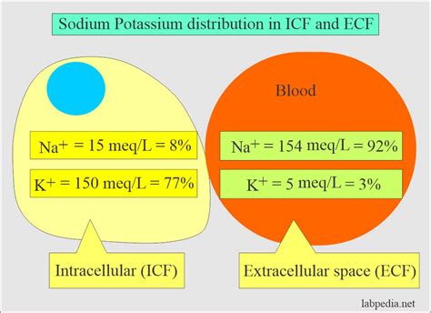 Sodium (Na+), Blood and Serum