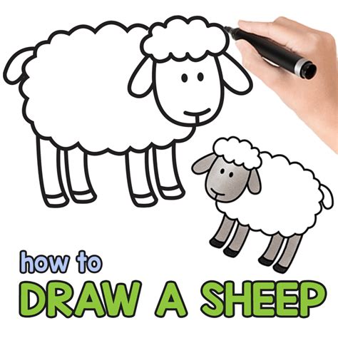 How to Draw a Sheep – Step by Step Sheep Drawing Tutorial - Mobitool