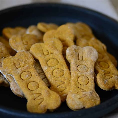 Homemade Peanut Butter Dog Treats - Foodology Geek