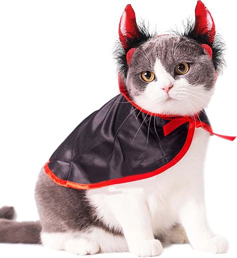 14 Best Halloween Costumes For Your Cat This Year