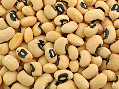 8 Surprising Benefits of Cowpeas | Organic Facts